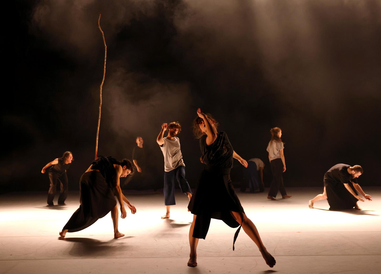 8 danseur·euse·s occupent tout le plateau, certains dansent les bras en l'air, d'autres les bras vers le sol. Une longue perche en bois se dresse du sol au ciel.